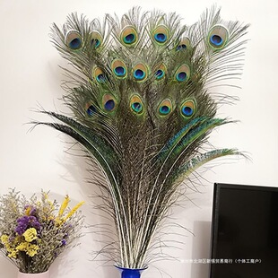 �M�ڼ���Ȼ���ȸ��ë��β���۾� ��ƿ�ҾӔ[�O �͏d�b� DIY���