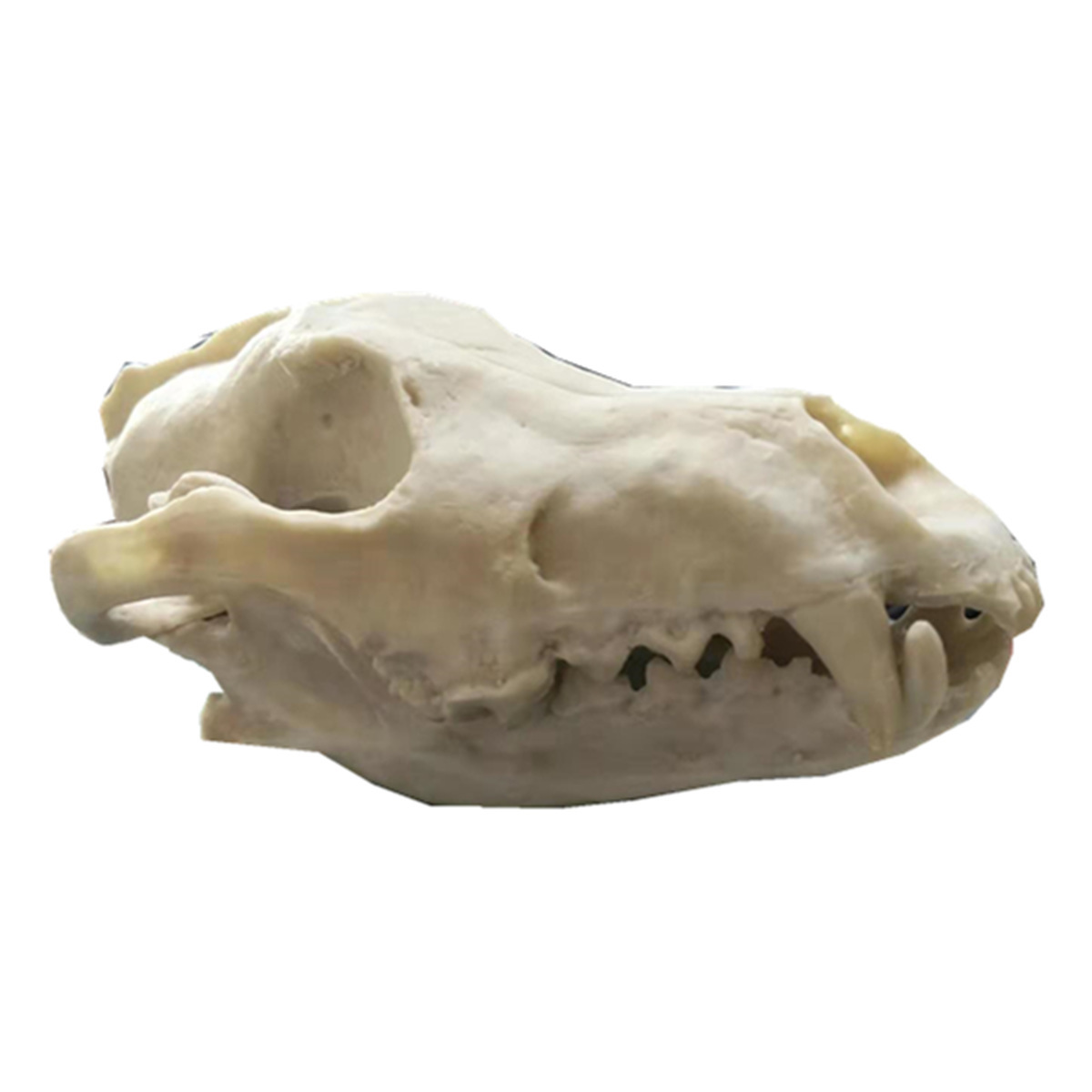 微信图片_20200206174549