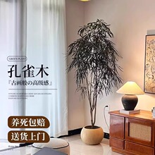 ȸľGֲ҃ȴԿ͏dkҾWt^~ֲش̖ļB