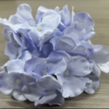 사각 수국 - 블루 퍼플