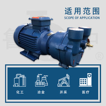 2BV2061水环式真空泵质保一淄博鲁中工业泵厂