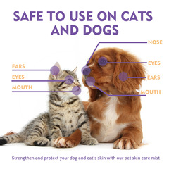 Yegbong 寵物緩解皮膚噴霧 緩解狗貓皮膚瘙癢去蟎蟲止癢清潔護理