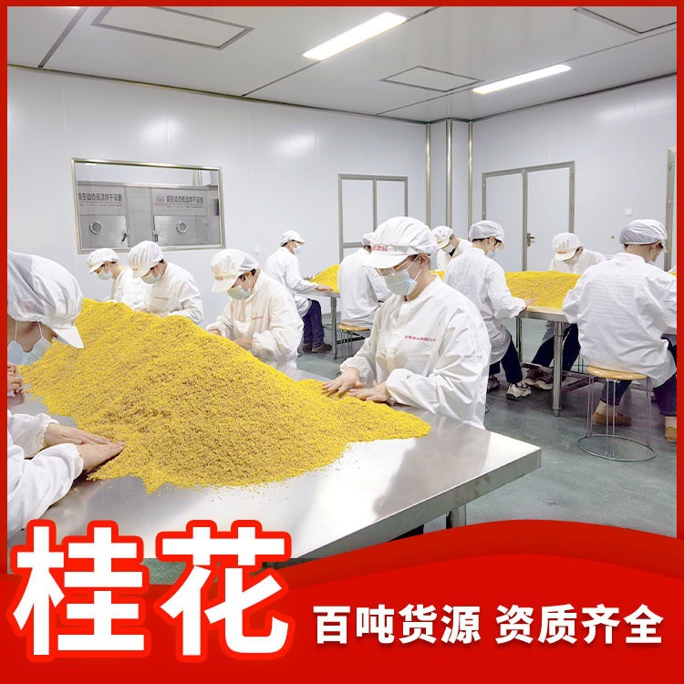 金之粟冻干桂花厂家直供桂林新货金桂花干桂花茶干桂花脱水桂花