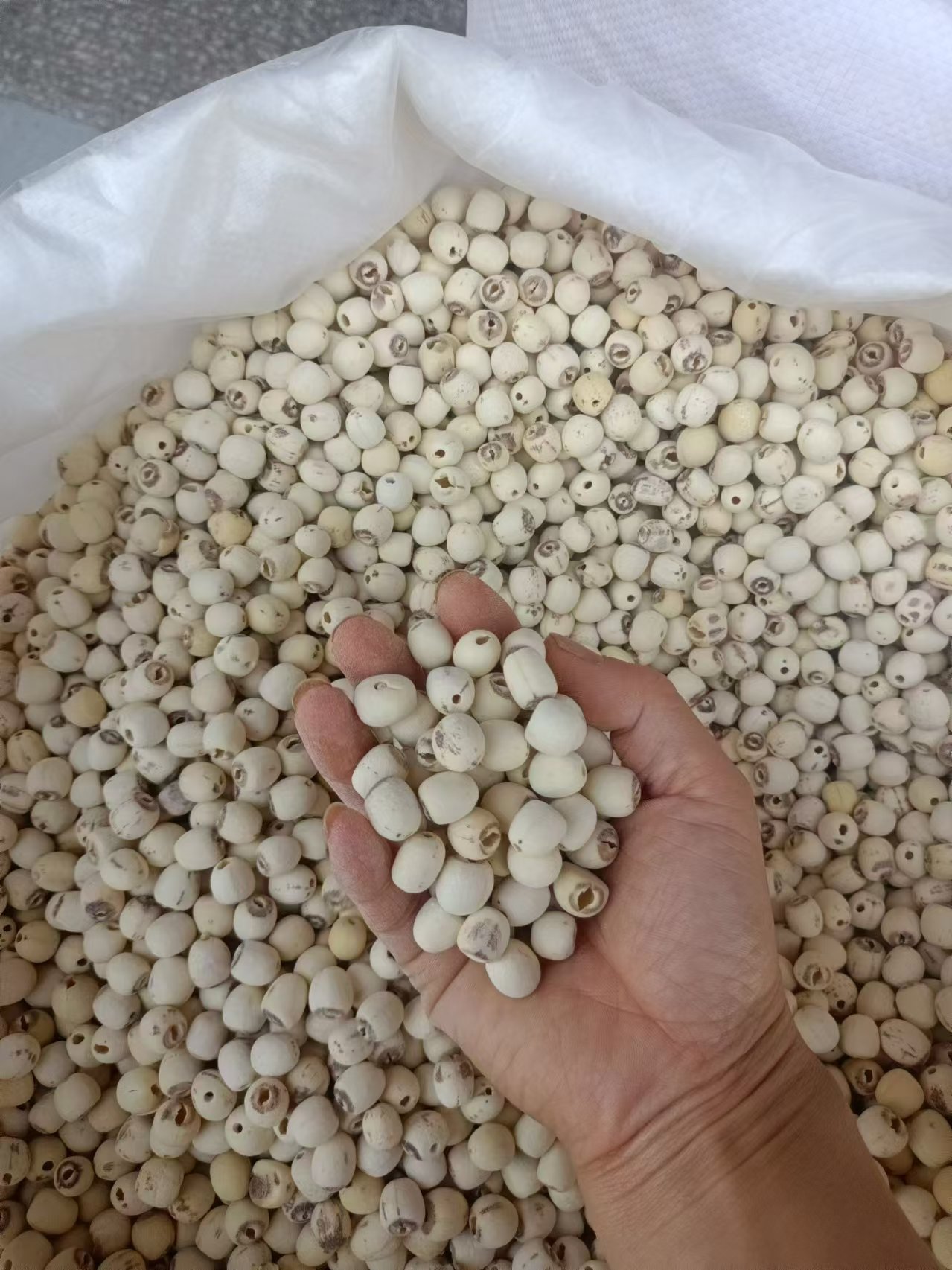 Hunan Peeled White Lotus Seeds Lian Zi 500g Sulphur-Free Core-Removed Food and Herb Use quality and texture