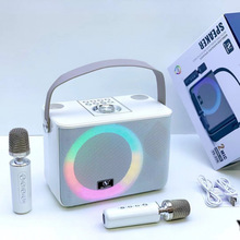 YS226跨境新款无线蓝牙音箱低音炮双麦克风K歌音响家庭户外一体机