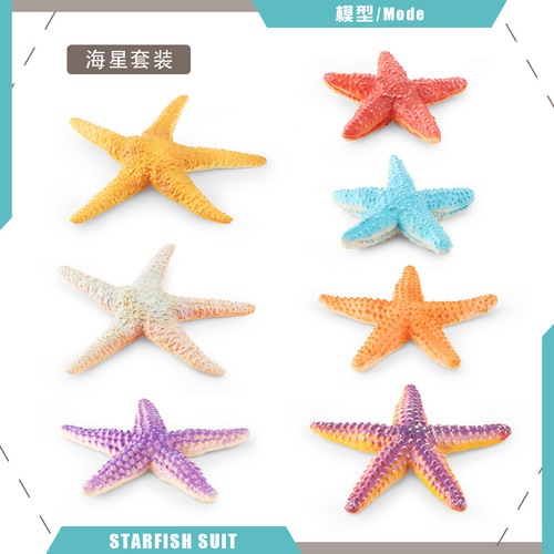 Cross-border simulation marine animal model children's science education echinoderm starfish bottom world decorative ornament