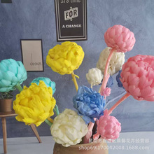 ���������E���p�ݴ�֦���E\ѩɏ���b��c�Y�ɻ�������