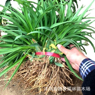 �L�ڹ������������ ����� �ݻ��ر�ֲ���޸����� �t�����