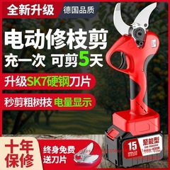 德国进口电动剪刀修枝剪刀果树充电式液晶无线锂电园艺园林粗枝