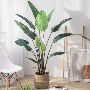 ����ֲ�����˽��پGֲ�����쾰�҃��b���ش��ͼ٘��������G