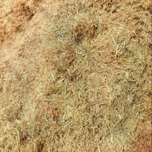 �ɵ����w�Sˮ���ն��Ž��B�۠��b��鵾�ݾG�������ൾ������]�r