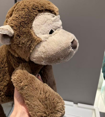 コレクション1;