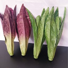 仿真油麦菜莴笋蔬菜模型跨境厨房摆设件拍摄影道具饭店餐厅装饰
