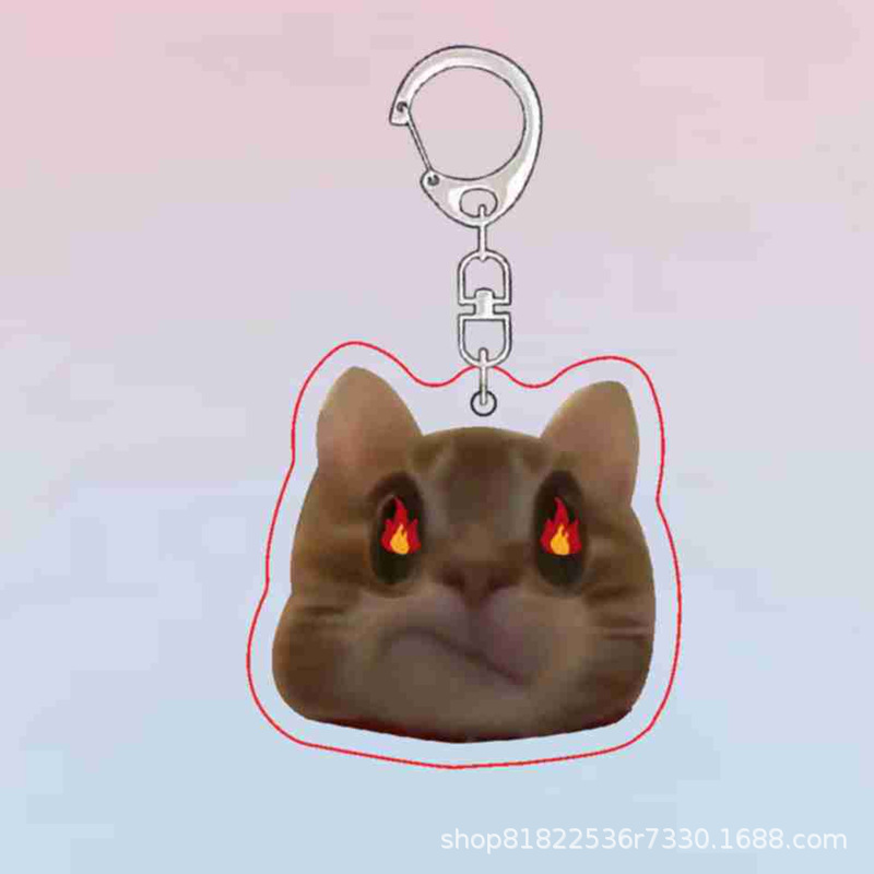 투약 고양이 B6675