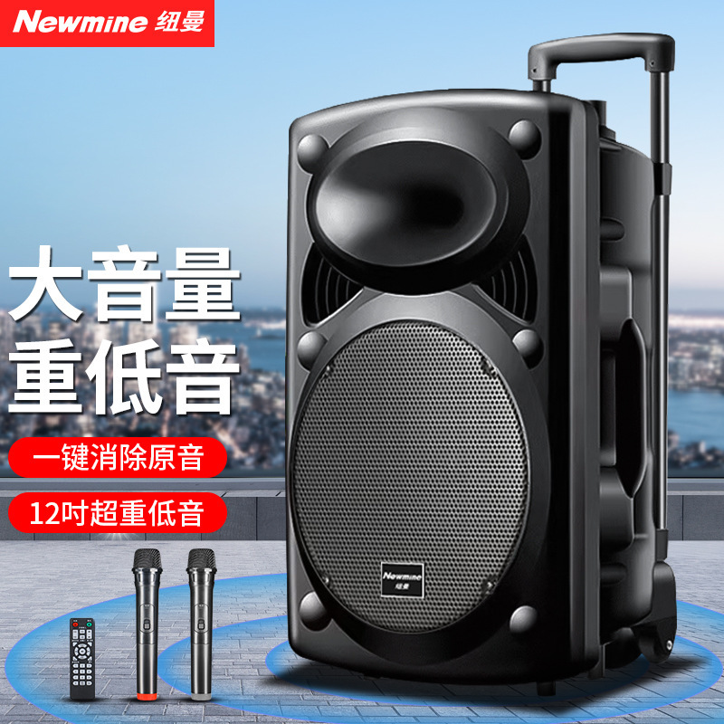 Newman B12 Square Dance Audio 12inch Outdoor Bluetooth Trolley Speaker High Power Mobile Performance K Song Subwoofer