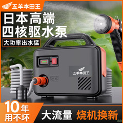 輸入ポンプ農業用灌漑充電式野菜地給水機家庭用小型ポンプ花かけ野菜神器
