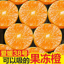 愛媛38號果凍橙四川當季現摘新鮮水果薄皮橙子甜柑橘桔子非冰糖橙