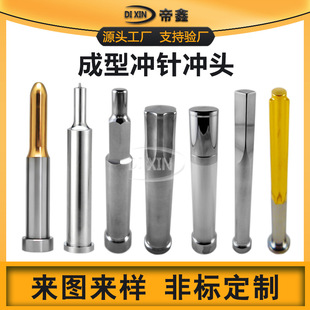 Stainless Steel Center Punch, Custom Punch, Positioning Punch, Oval Punch, Forming Punch, Special-Shaped Punch, High-Speed Steel Punch, Needle Punch