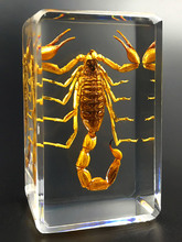 ?�挍���x�˱�͸����֬����С�[���׃��@�̌W�^�����ϐ��֩���