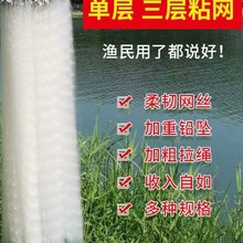 �O�W�O��ճ�W�z�W�ΌӸ��W���ӳ��W���Ӳ��~�W�a�~���~մ�W�חl�W