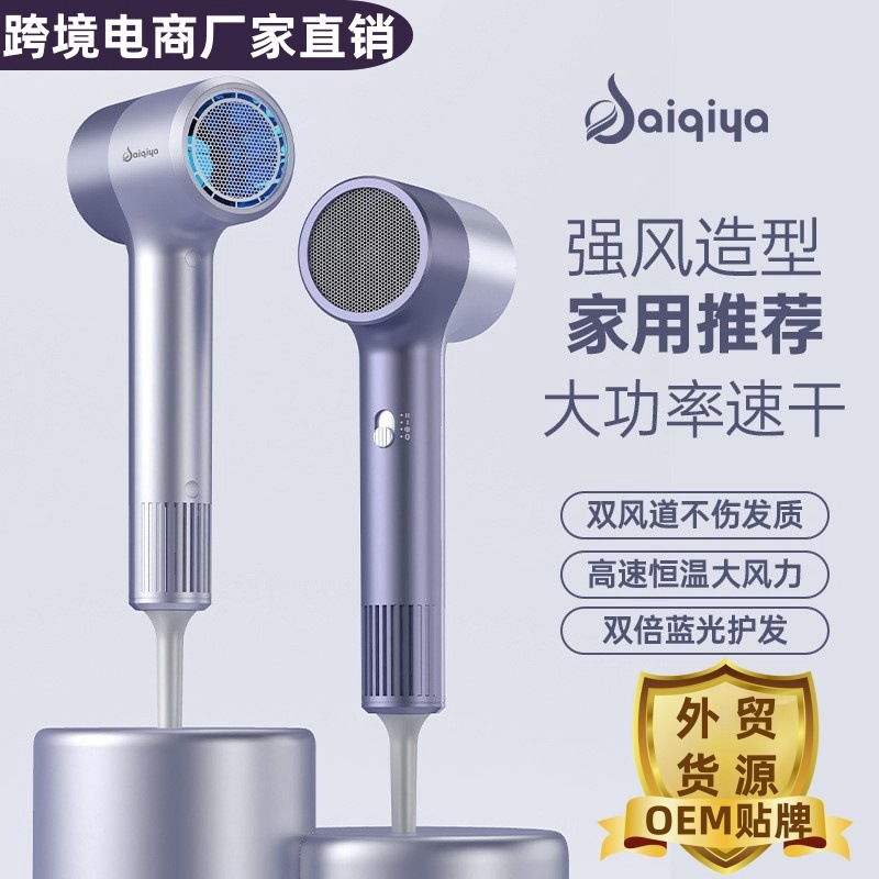 Seco de pelo eléctrico transfronterizo venta directa de alta velocidad doméstica de alta potencia de temperatura constante salón de pelo grande viento hotel secador de pelo