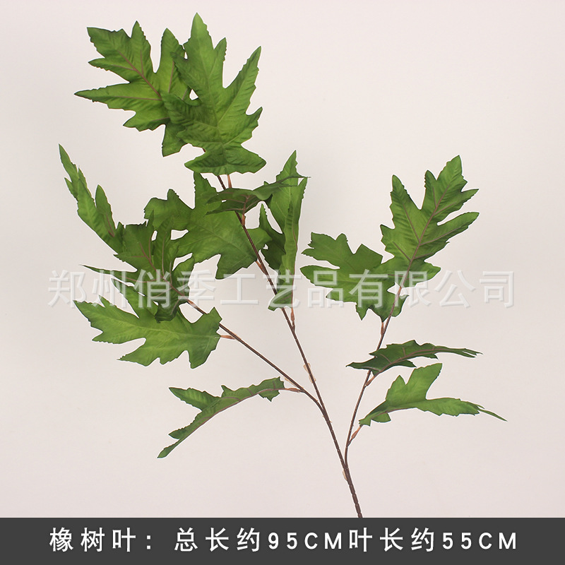 녹색 오크 잎/1 가지