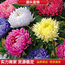 ��ջ��N�N�ӽ����D�N�����¾ջ��N�����ļ��׷N��ɫ�ذ�ΰ껨��