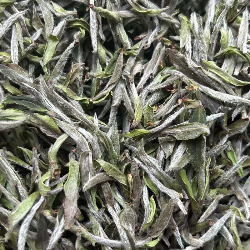 2024 Fuding Alpine Wilderness Peony King Flower Fragrant Honey Rhyme Refreshing and Sweet Taste