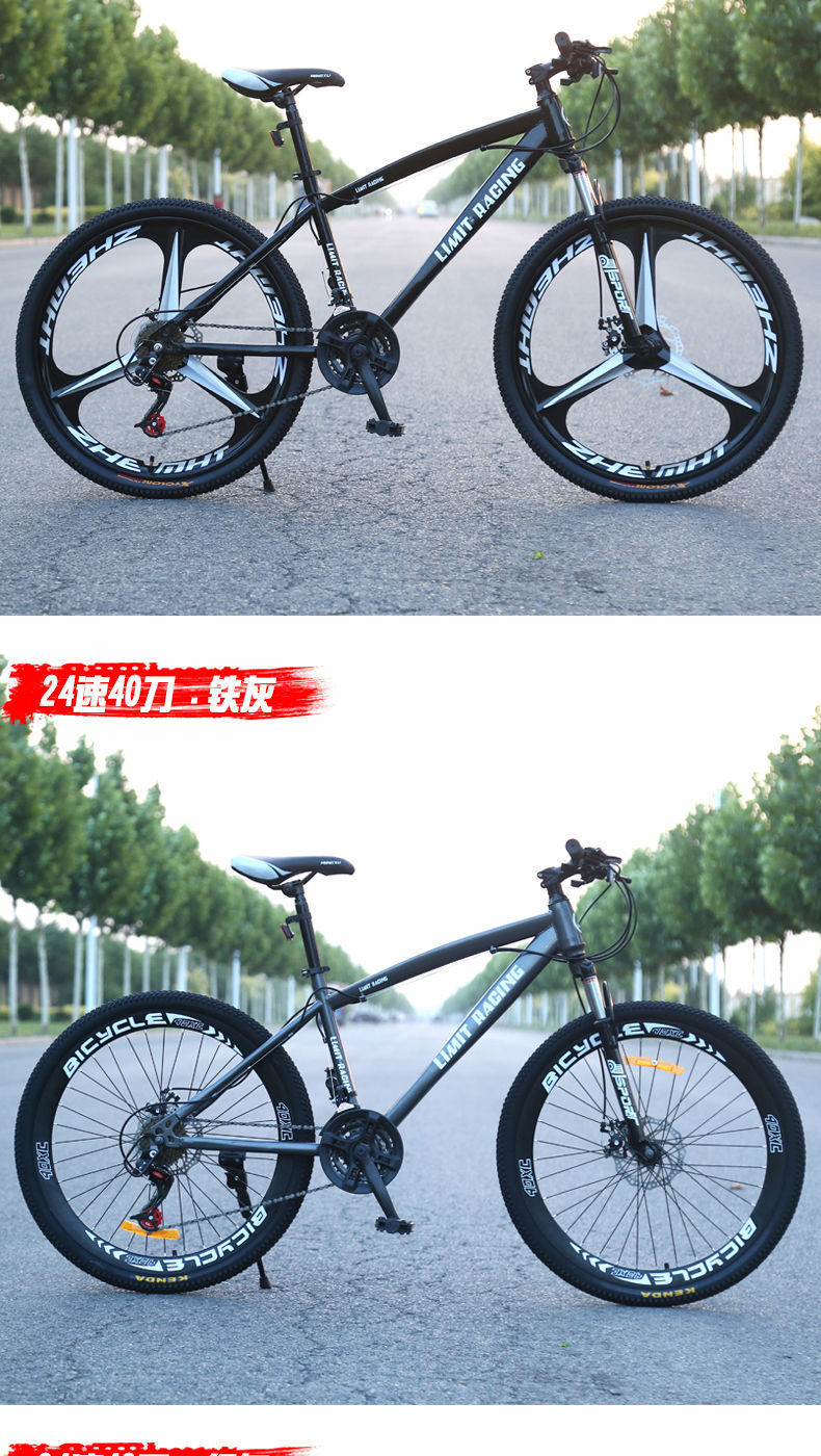 b5954338-f4a0-4ded-b18a-d46338f73dd3.jpe