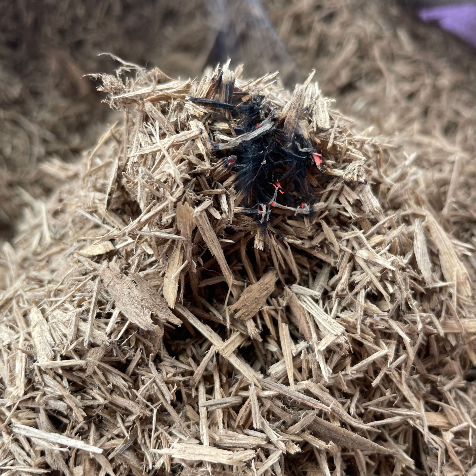 蒸油沉香粉花香味可做拜拜香佛道供佛香养生艾灸香线香纯天然香粉