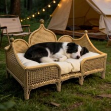 �����Fˇ�پ�؈�C���\������Ʒ�ļ�ͨ�þW�t�پ�����C��y����\