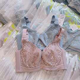 软钢圈聚拢大胸显小内衣女全罩杯夹棉杯收副乳调整型文胸薄款D杯