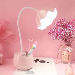 新しい LED デスクランプ学習ランプ充電式プラグイン学生寮子供の視力保護読書ワンピース卸売