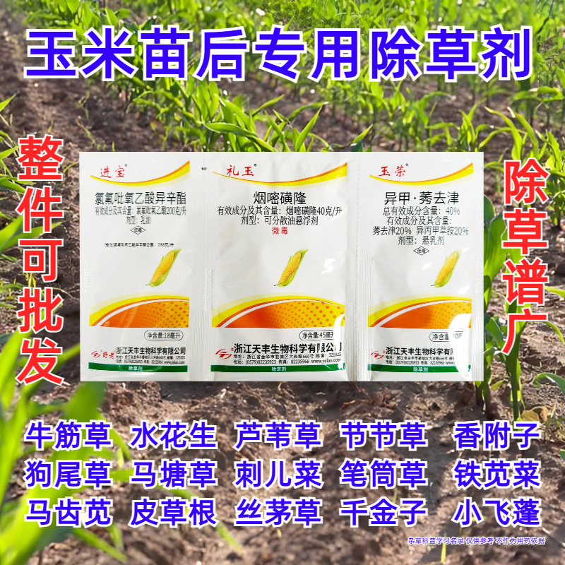农药厂家批发荣宝玉玉米苗后除草剂烟嘧磺隆氯氟乙酸三连袋