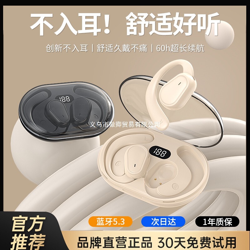 2025 New True Wireless Bluetooth Earphones, Ear-Hook Style, Ultra-Long Battery Life, Comfortable to Wear, Smart Noise Reduction, for Men and Women