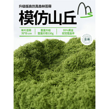 ����ֲ���쾰̦�\��ɽ΢���^�@��ͥԺ���^���ԾGֲ����b[��