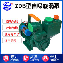 供应批发凌波牌1ZDB-45型旋涡式微型自吸清水泵单相550W清水增压