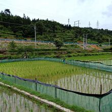 �BֳС���r100�׷��ӷ��ӾW����ţ�܇��W�з���~�r���W������Ĥ