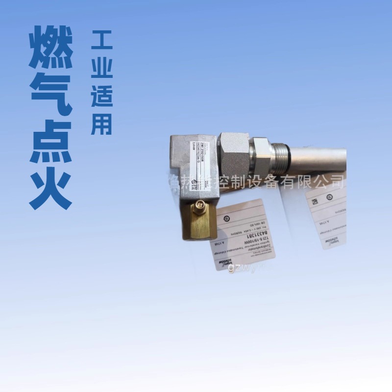 【实物】ZMI25G150R燃气点火枪德国霍科德科罗姆Kromschroeder