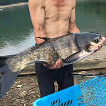 �����~�絭ˮ���Bֳ������I�~�����^�~�c�~�Ĵ���~���~���^�~��