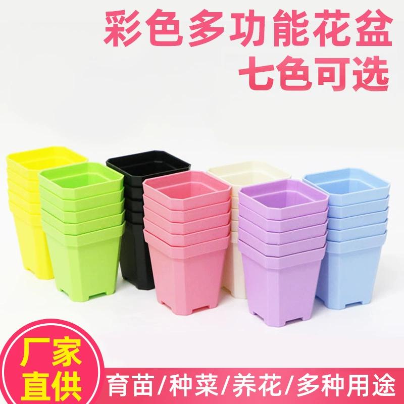 Цветочный горшок для суккулентов Крытый простой утолщенный пластиковый маленький черный квадратный цветочный горшок с поддоном красочный горшок для рассады для резки суккулентов