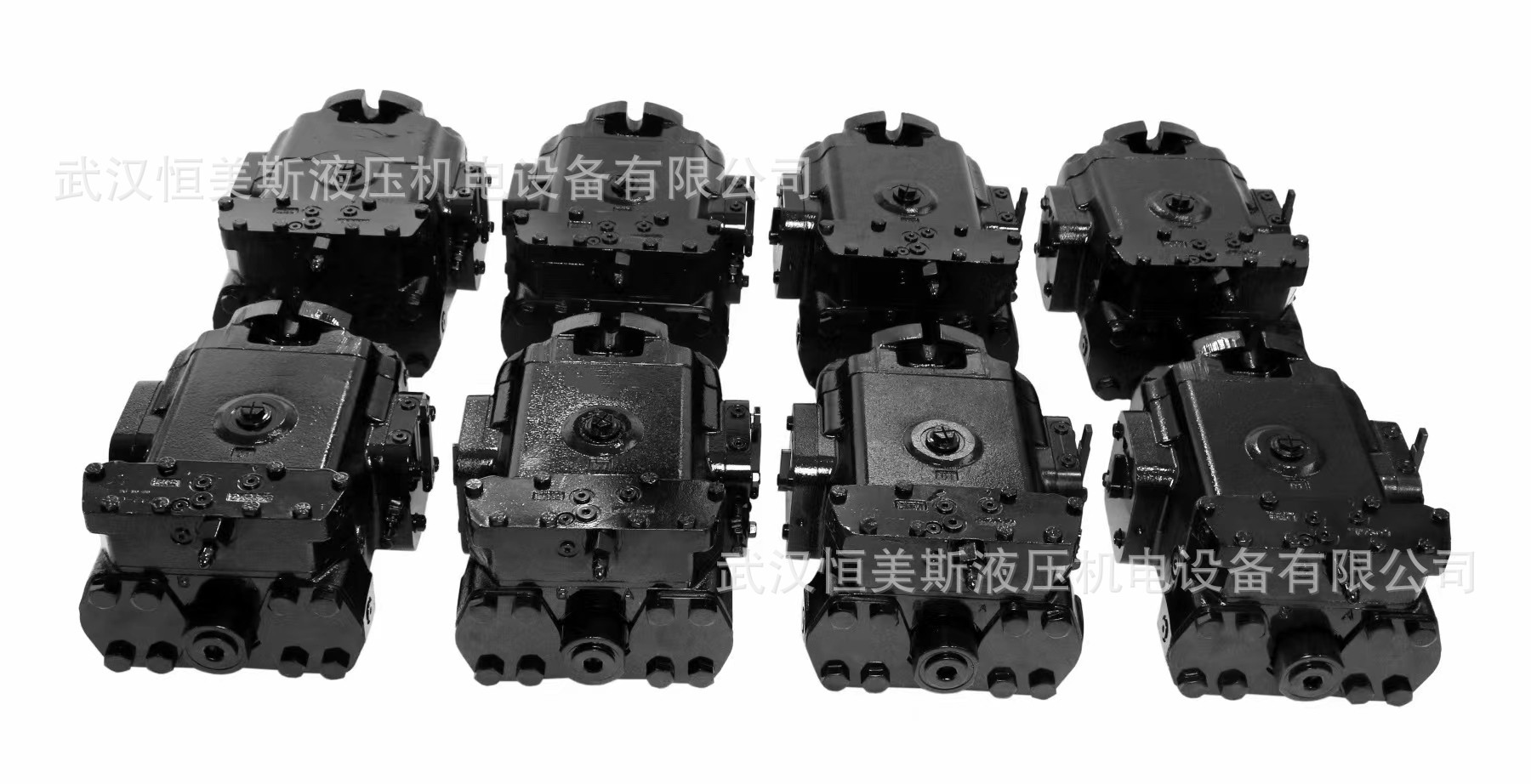 法国DENISON丹尼逊柱塞泵P1018PS01SRM5AL00E0200000