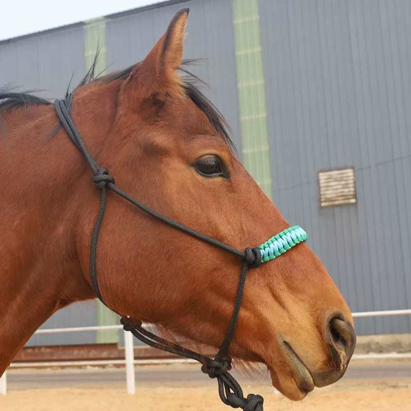 Equestrian Training Bridle, Horse Lead Rope, Horse Cage, Horse Head Rope, Horse Equipment, Harness, Equestrianism