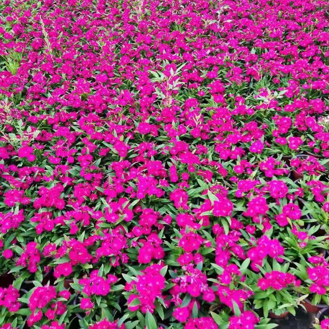 2024-03-26 22:02:25.jpg