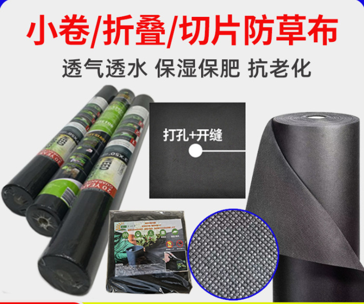 O1CN01aiVnYZ1TSXm0cmbiK_!!2761