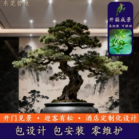仿真绿植;仿真盆栽