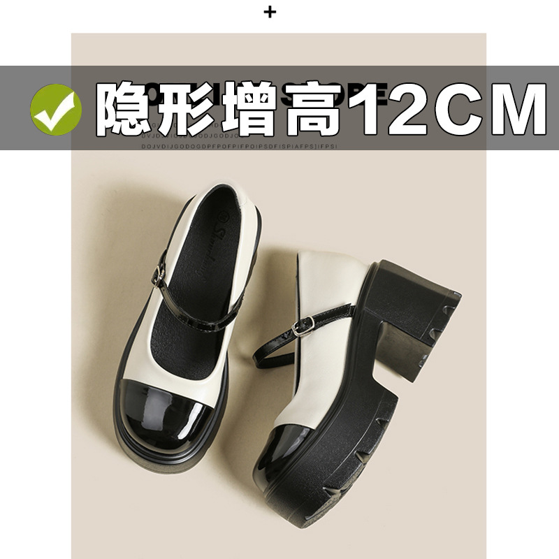 Spring Mary Jane shoes platform with hidden heel