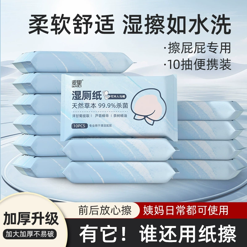Биоразлагаемая Влажная туалетная бумага Сумка с 10 ящиками, портативная маленькая сумка, Детская салфетка, приклады, бытовая влажная салфетка, интимные части, санитарная Чистка