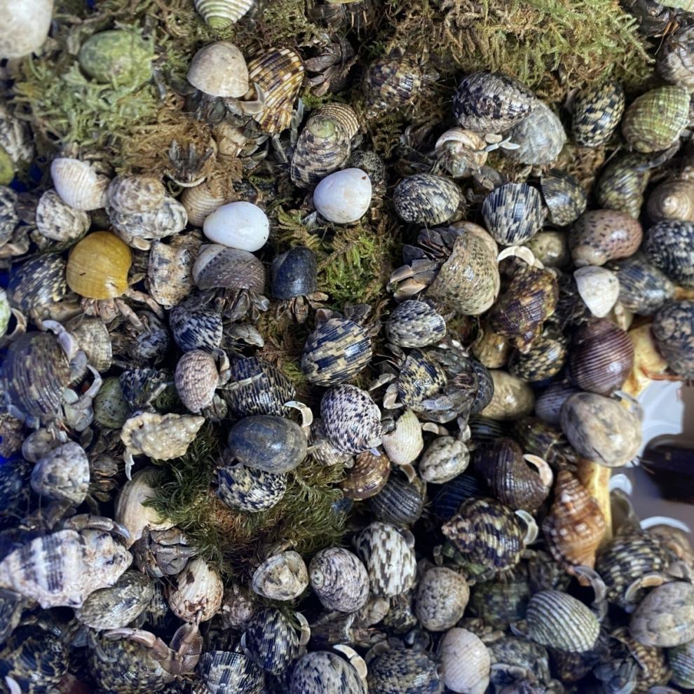 1ad6bdb1-1ab9-466a-95a0-5a643cfe49cd.jpe