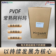 Ƭ PVDF Ultraflex B Y  ͺgÉTӑ